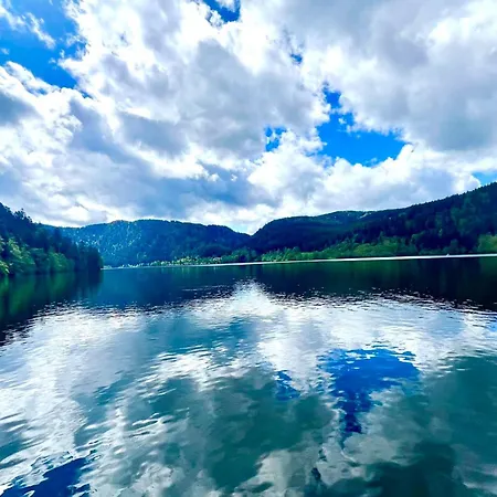 Duplex In View And Swimming Pool * Gérardmer